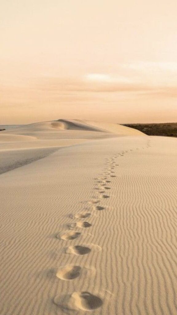 Cuantas sesiones necesito