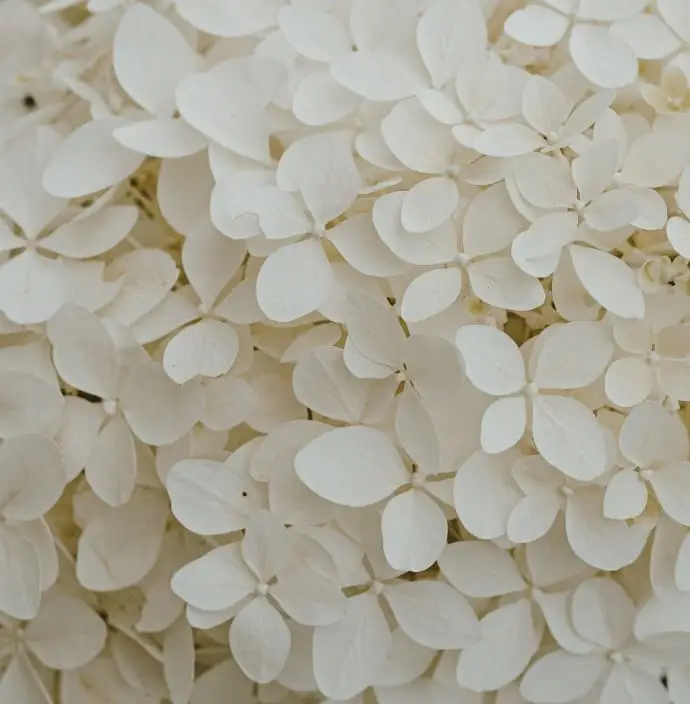 cuantas-sesiones-reiki