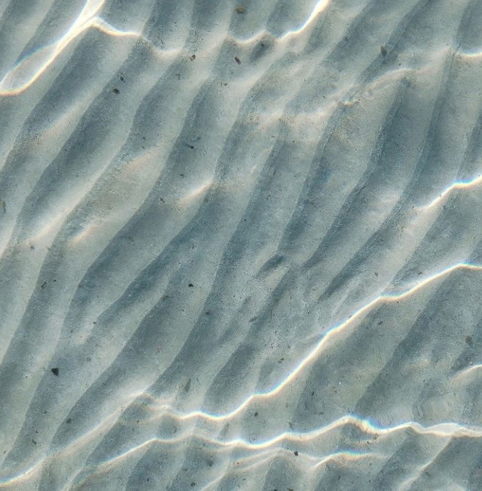 Testimonio Natalia Espinoza C.