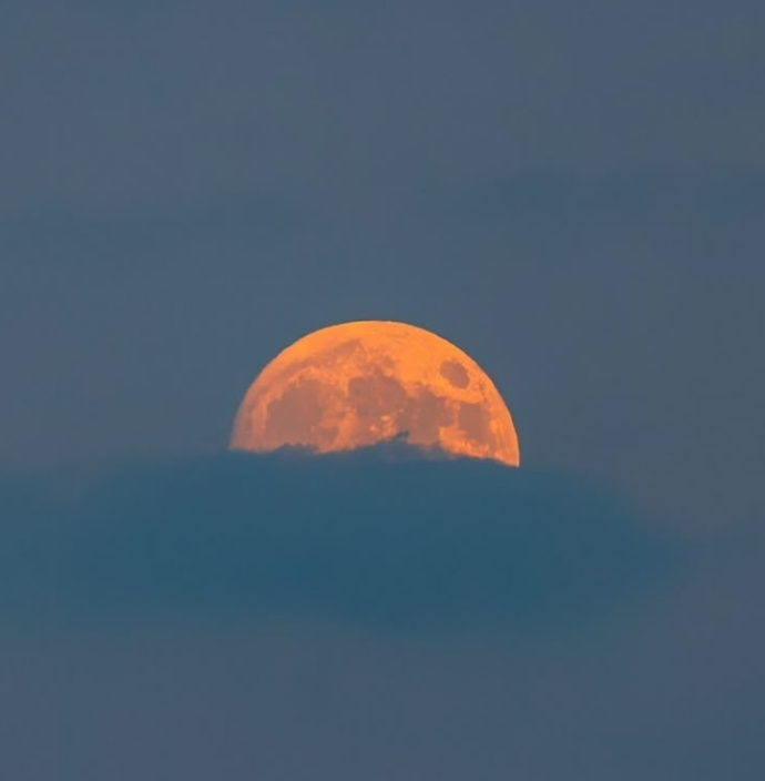 Testimonio Paula M. Reiki Usui