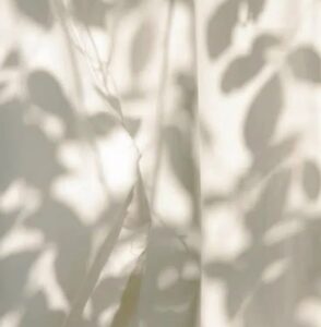 Testimonio de Reiki - Lucia