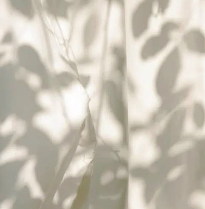 Testimonio de Reiki - Lucia